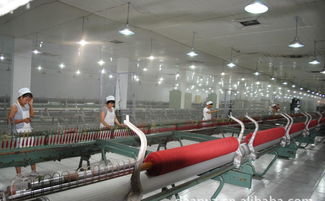 高檔精品時尚品牌羊絨衫誠招代理加盟，廠家直供，優價共贏